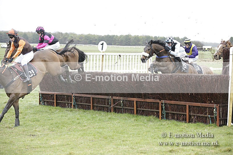 PtP 150320 0197 - New Forest Point-to-Point Larkhill 15/03/20