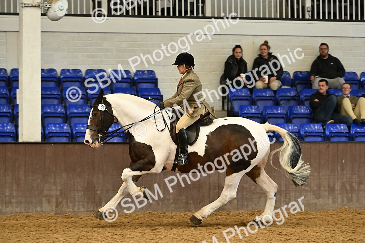 SBM_002030 - Class 21 - BSHA Ridden Show Cob