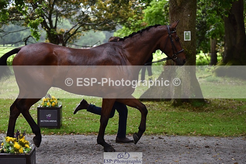 240522-162250-00878 - 275-SFS_ARRANO-Roberto_Scalisi