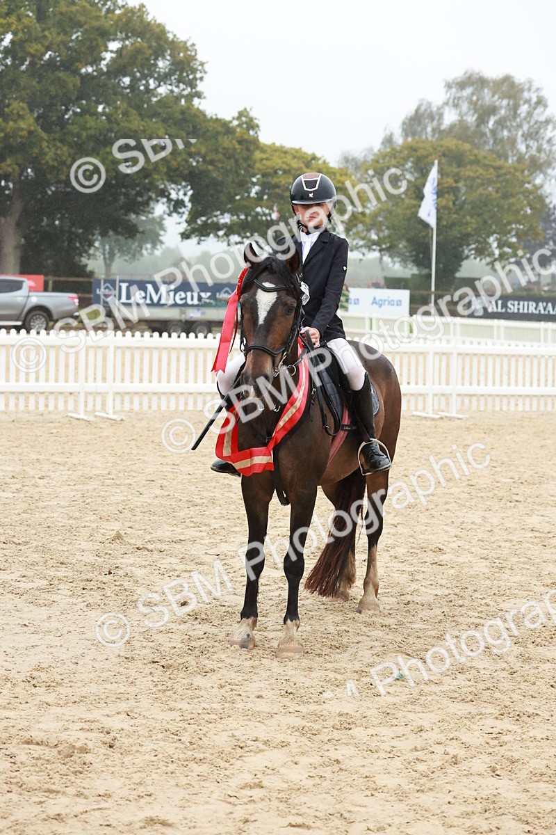 SBM_73459 - Supreme Championship Junior Pony 60cm & 65cm