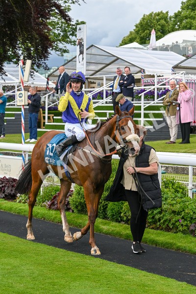 140624-Race 5-Ron O-4949 - Race 5 4.10pm Juddmonte EBF Fillies Restricted Novice Stakes