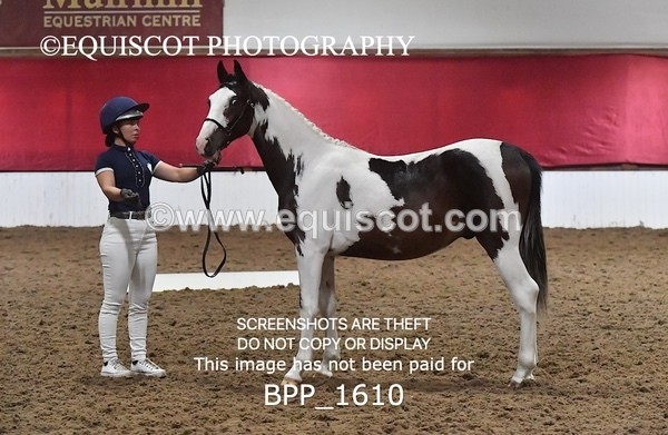 BPP_1610 - MORNING 9AM - 12PM