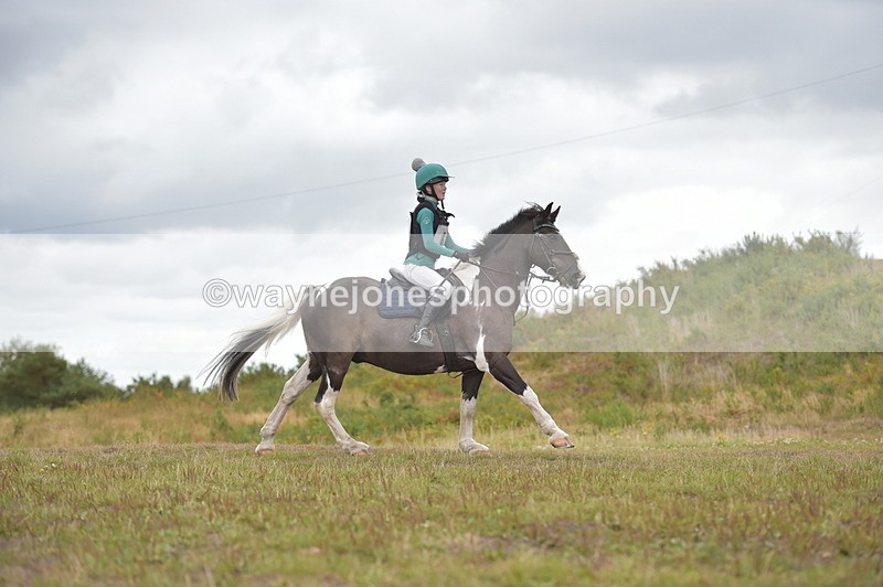 NGP_2690 - XC Time 11:37 to 11:57