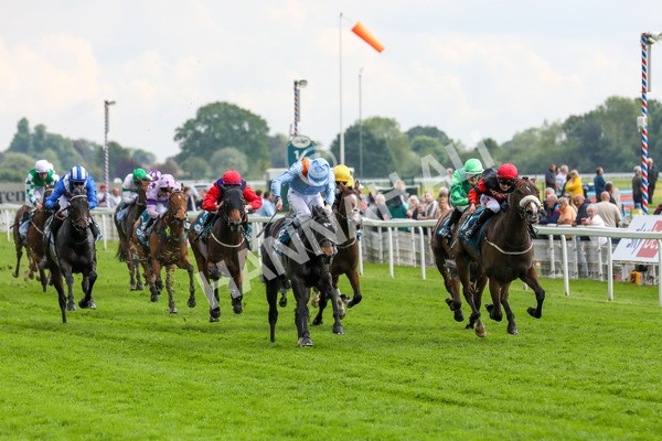 150524-Race 5-Diligent Resdev-1545 - Race 5 4.15pm Conundrum HR Consulting Handicap