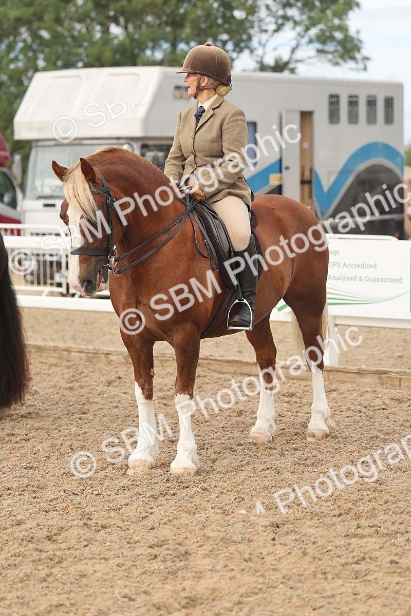 SBM_01949 - Class 14 - Ridden M&M Wildcard