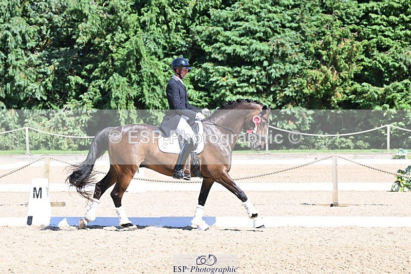 240811-154025-06754 - Inter I Gold