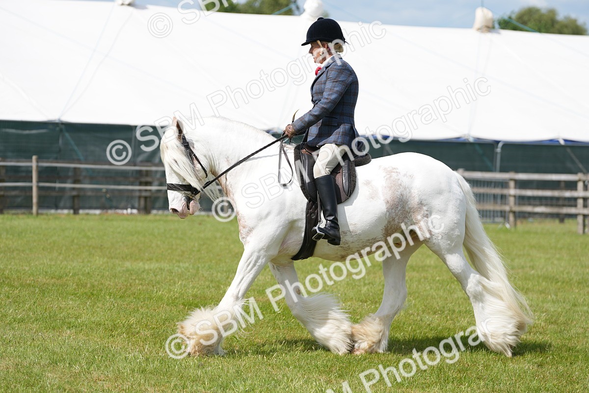 SBM_17183 - Class 107-108 - LIHS BSPS Performance Coloured Horse Pony