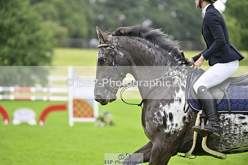 250613A-113817-00719 - Cls 2 Snr 1.15m Members Cup