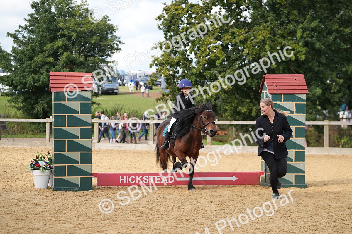SBM_64329 - J2 - Mini Tour Junior Pony 30cm Championship