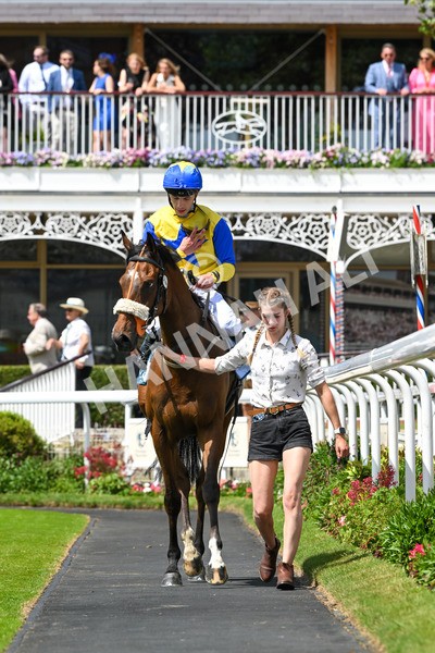 130625-Race 1-Feel The Need-8409 - Race 1 1.50pm Andy Thornton Hospitality Furniture Apprentice Handicap