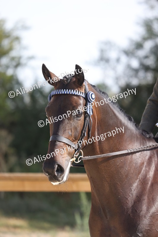 20260802-0161 - Class 5 - ROR Ridden