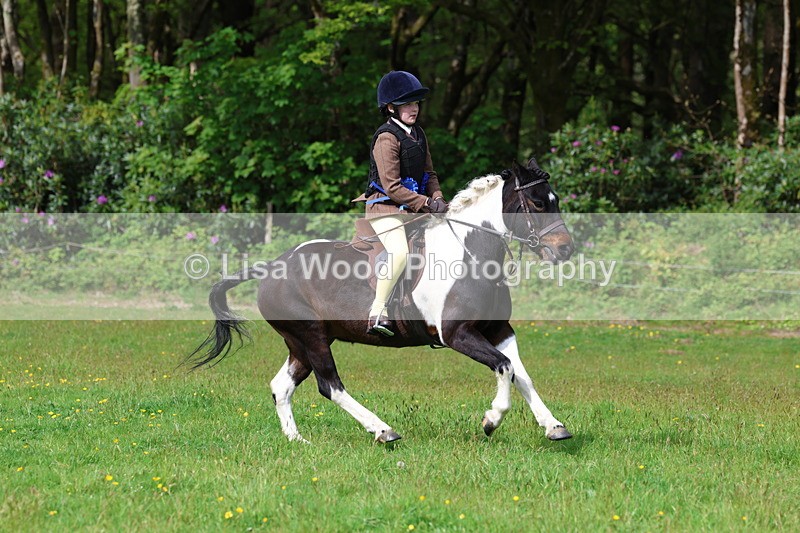 3E7A2713 - Working Hunter Championship