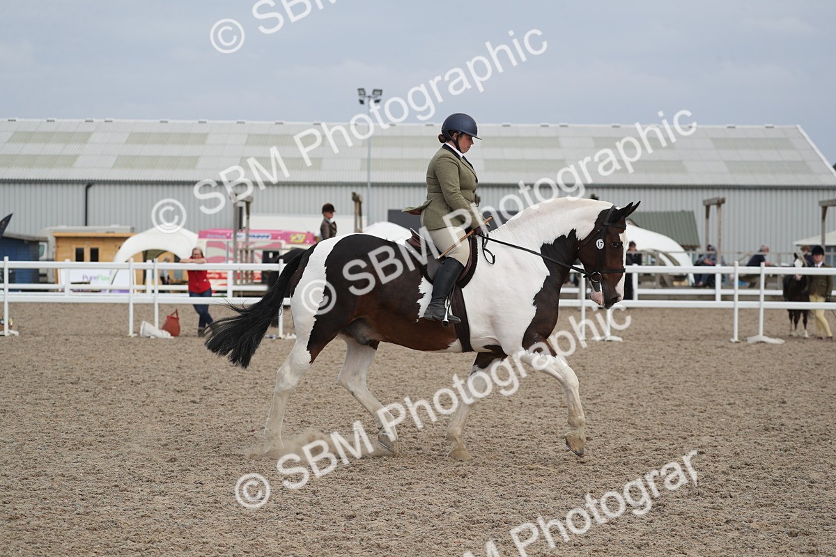 SBM_17368 - Class 315 Best Horse/Rider Combination