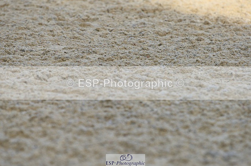 230909-085310-04259 - Cls 15 British Novice & 90cm Open