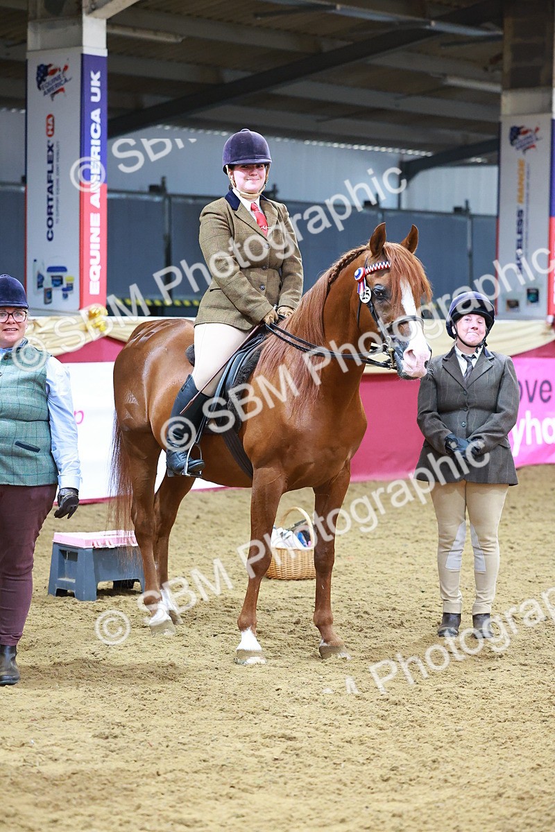 SBM_07731 - Class 101 - HOYS Veteran Qualifier - Ridden Diamond