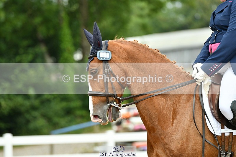 230701A-134056-06337 - Cls 12, 15 + 19 Music Medium, Adv Medium + Inter I