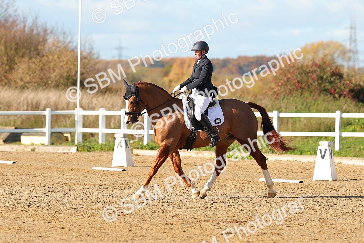 SBM_001452 - Medium 3