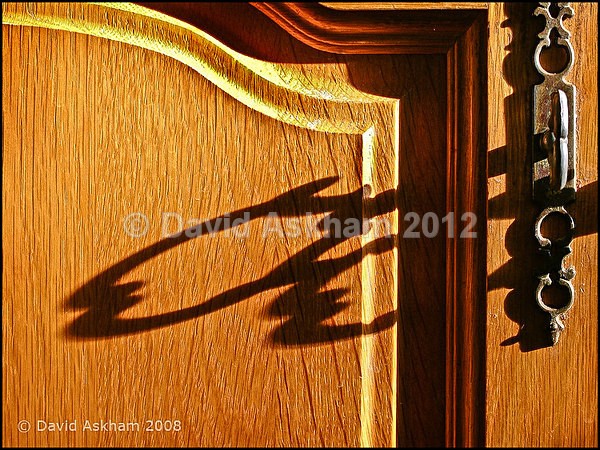 Shadow Play - Leica Digilux 2