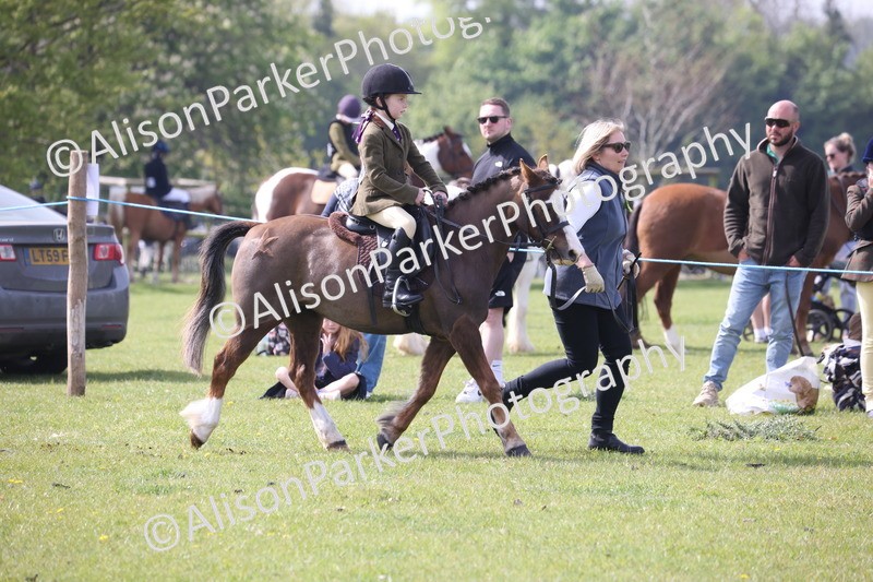 20260426-2524 - Class 31 - Leading Rein