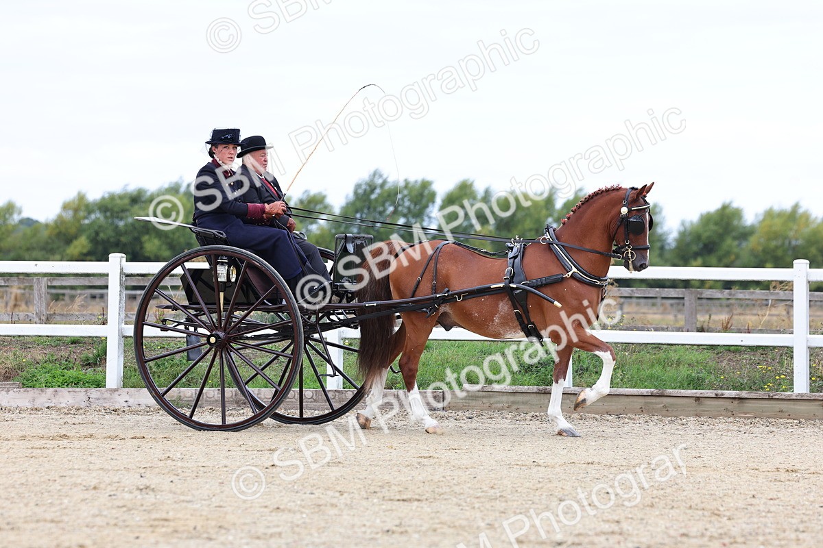 SBM_000351 - Class 4 - Junior Whip
