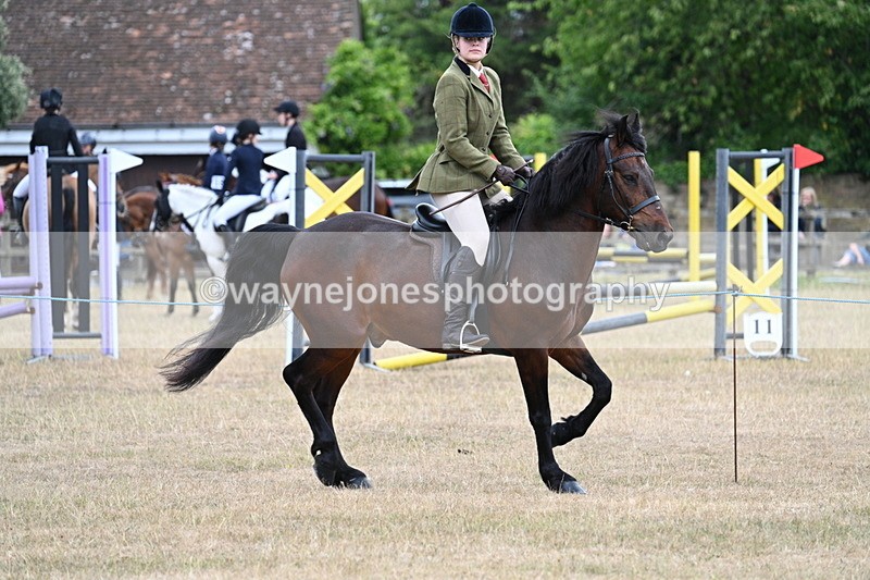 WJ7_0614 - Class 6 Ridden Mountain and Moorland