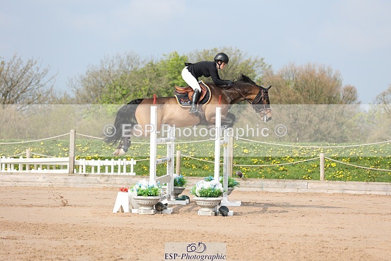 250424-102220-02973 - Cls 33 Young Horse 7yr old