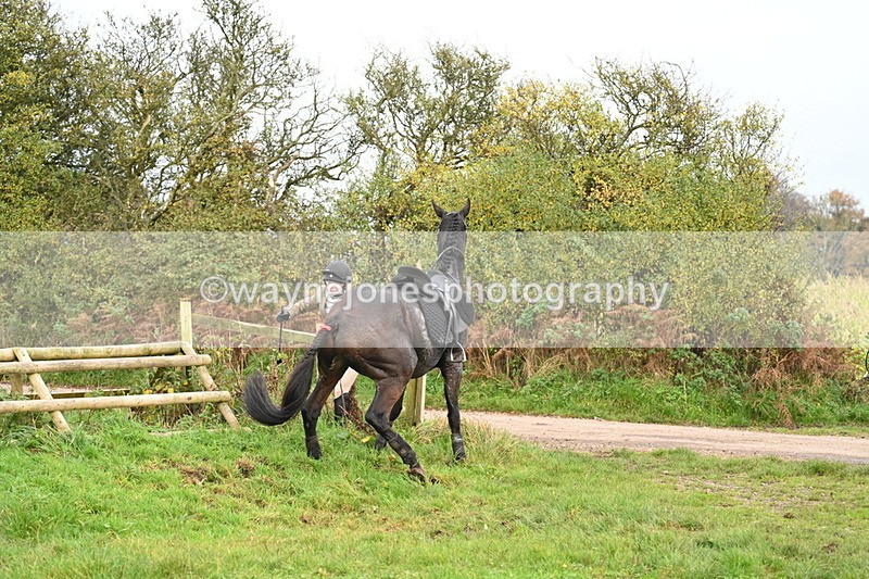WJ7_0438 - Camera 1 & Last fence