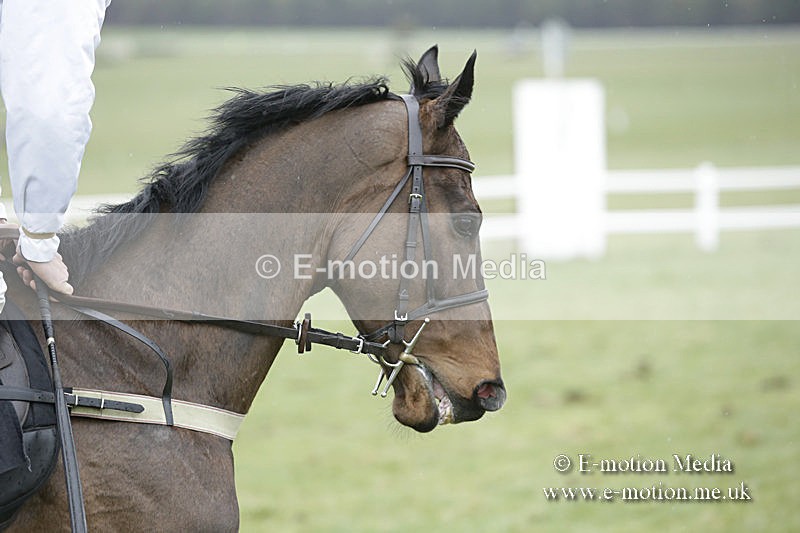 PtP 150320 0272 - New Forest Point-to-Point Larkhill 15/03/20