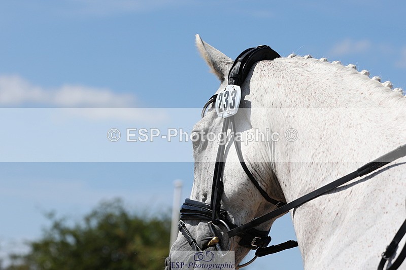 240816A-141830-05325 - 233-Anita.Wilcox-Casper.Rebel