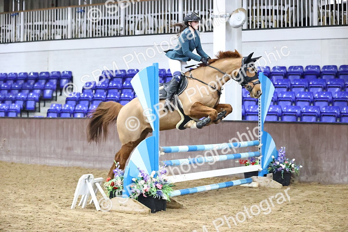 SBM_002091 - Class 8 - Senior British Novice - 90cm