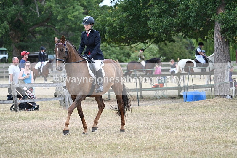 WJ7_0858 - Class 7 Riding Club Show Horse
