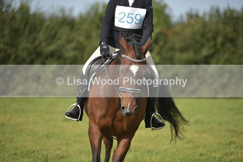 RAY_7724 - Class 2B: Trekenning Open: Dressage