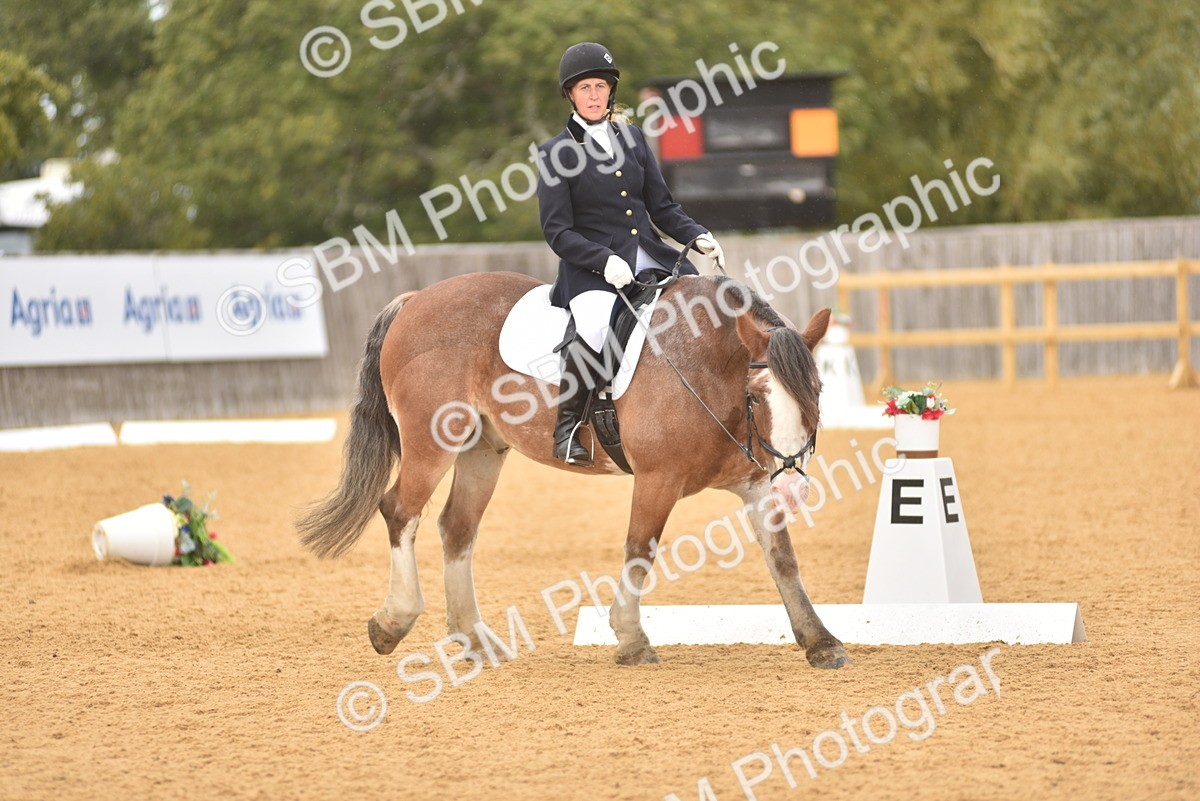 SBM_19877 - D4 - Small Tour Championship Intro 4