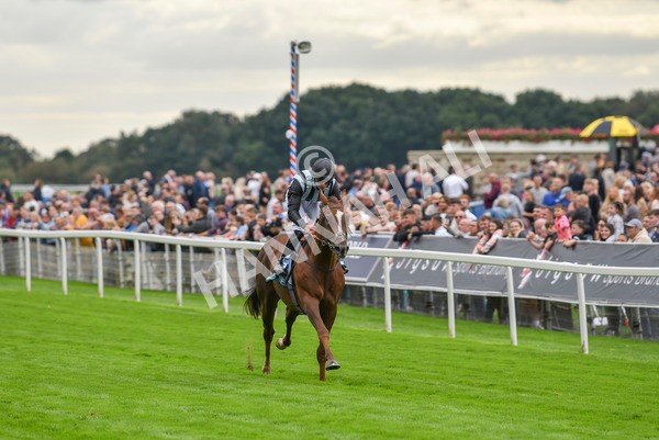 230923-Race 2-Palamon-6039 - Race 2 2.35pm jigsawsportsbranding.co.uk Handicap