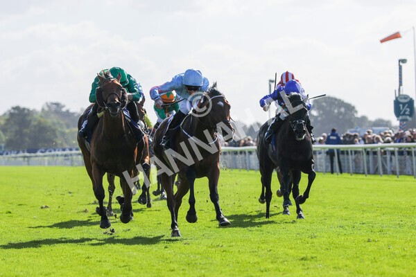 yr08102022r2-25 - Race 2 2.05pm The Coral Rockingham Stakes