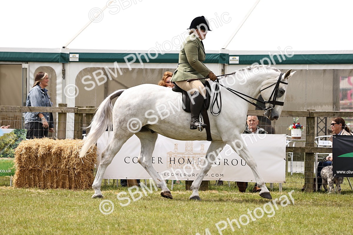 SBM_14658 - Class 88-89 - LIHS BSHA Rising Star of Ridden Hunter Type