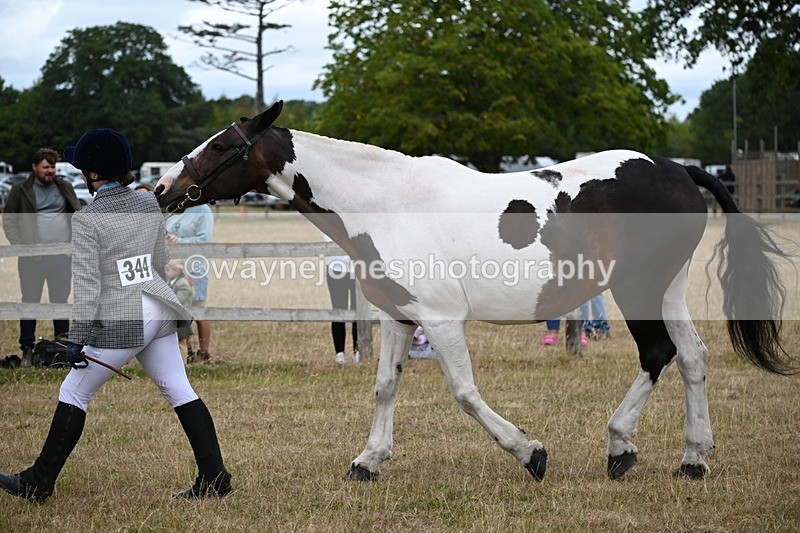 WJ6_8292 - Class 10 Coloured in Hand