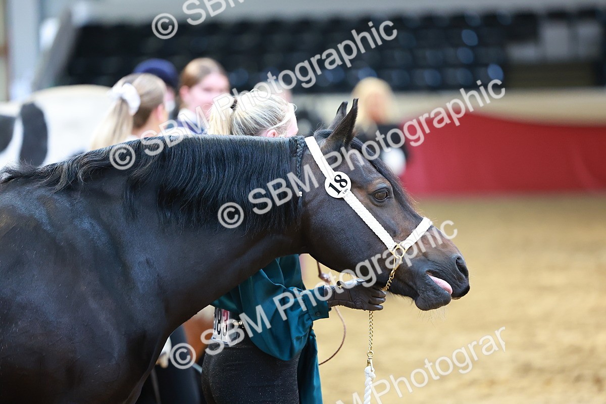 SBM_18510 - Class 903 - Sup Final - IH Pre Vet