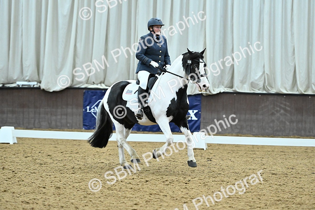 SBM_007409 - Class 81 - Novice 3