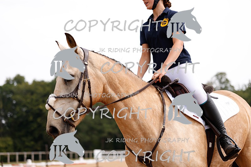 _R6A2801 - Dressage Morning