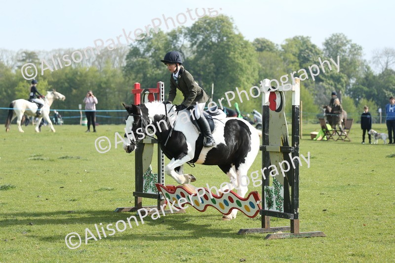 20260426-0023 - Class 13 - Rookie Jumping 50cm