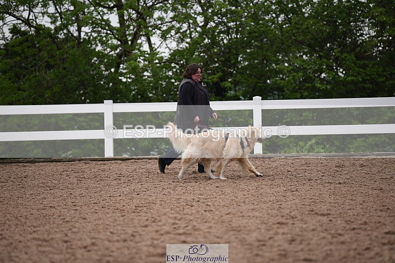 240518A-124720-01191 - Cls 5 Best Purebred