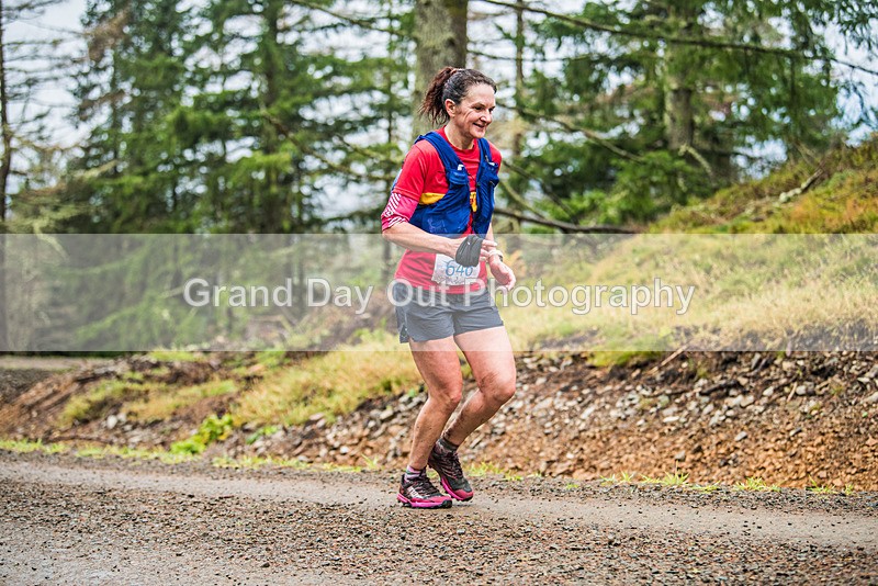 Glentress 21  10K-1577 - High Terrain Events Glentress 21 & 10K Trail Races Saturday 18th November 2023