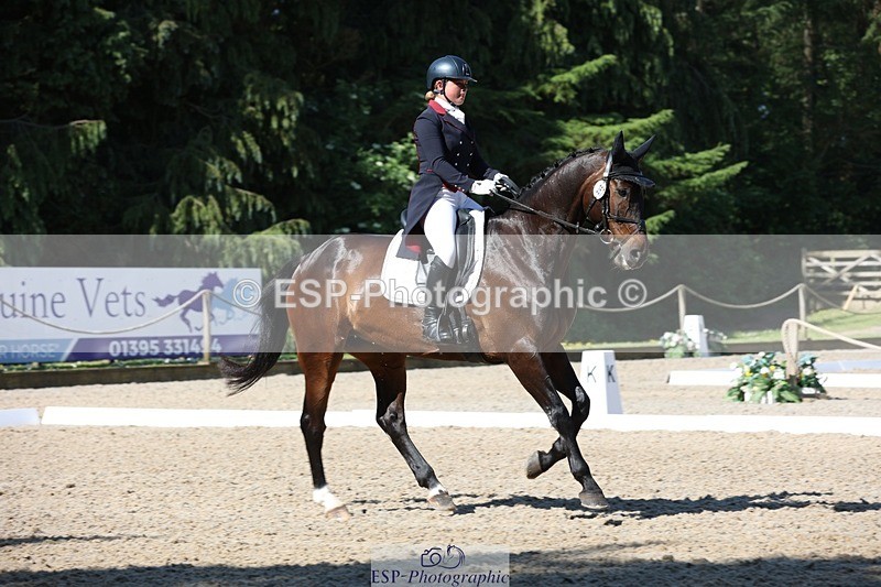 230526-094022-05126 - 357-VIVENDI_HERO-Saffron_Cresswell-WEDTrotUp+DR