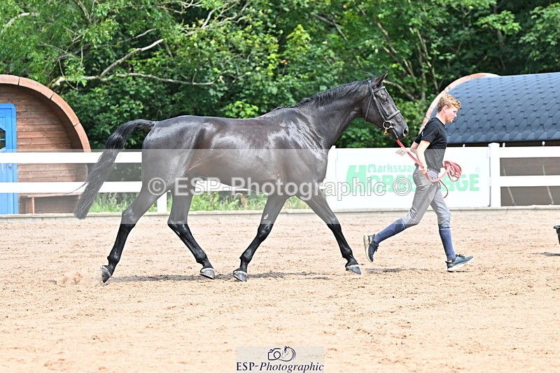 240718A-105246-01139 - Trot Up 12pm to 1pm