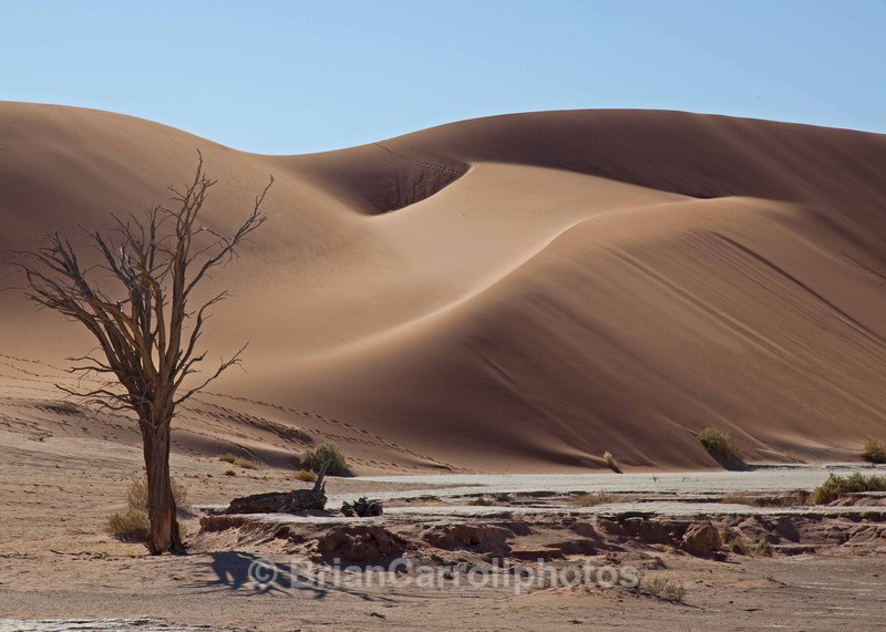 Namib Desert Namibia - African Safari Tour 09 Zambia, Botswana,Namibia & South Africa