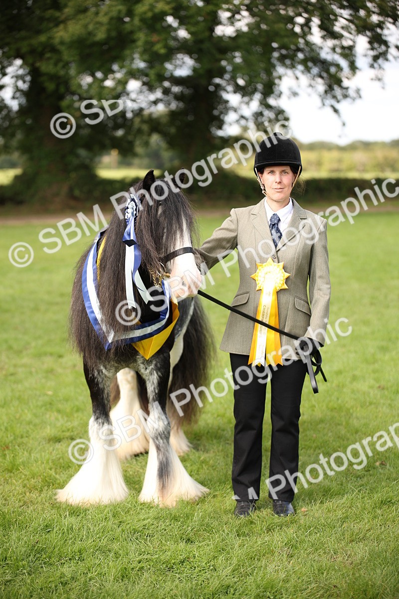 SBM_62961 - In Hand Horse Supreme Championship