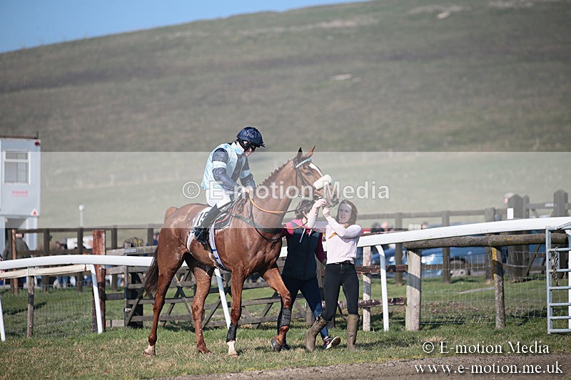 PtP 230219 320 - Vine & Craven Point-To-Point - Barbury 23/02/19