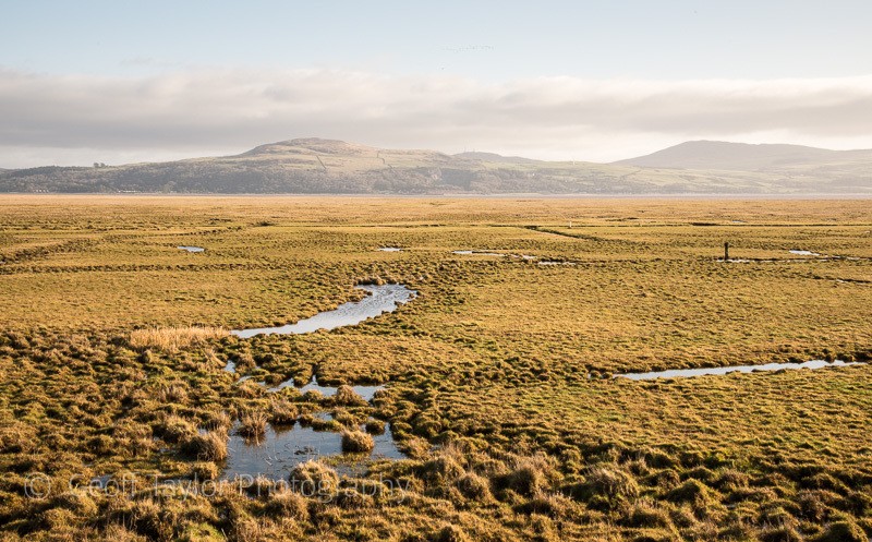Wigtown Bay Reserve - Wigtown Reader's Retreat