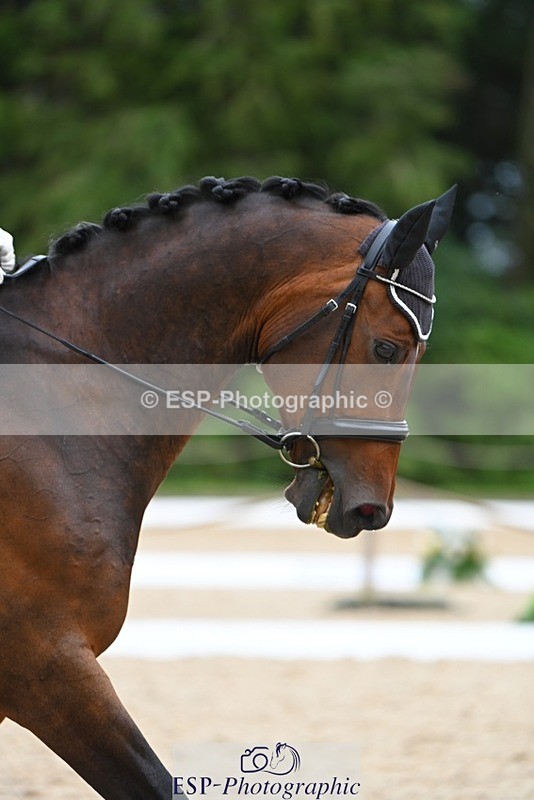 230813-170803-08574 - Cls 14 Medium Silver 16.45 to End